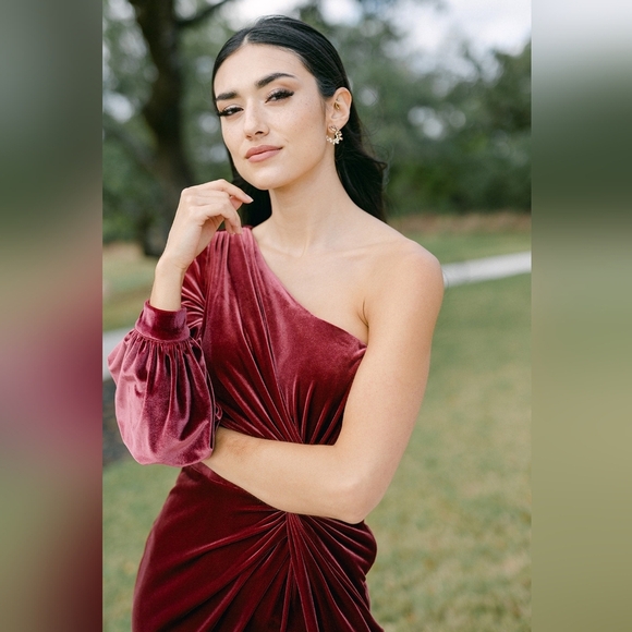 NWT Revelry Aurora Velvet Dress, Romantic Rose, Size 12 - Picture 2 of 16